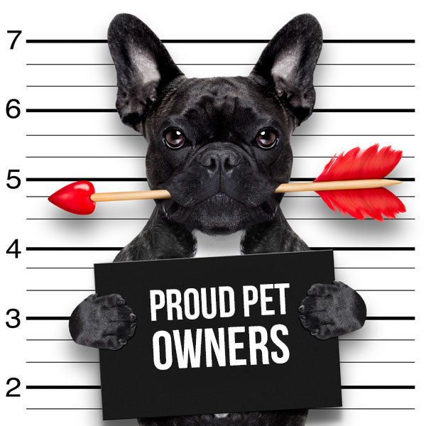Pet owner tees